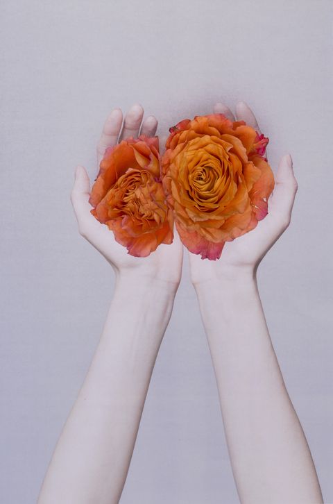 two hands holding flowers