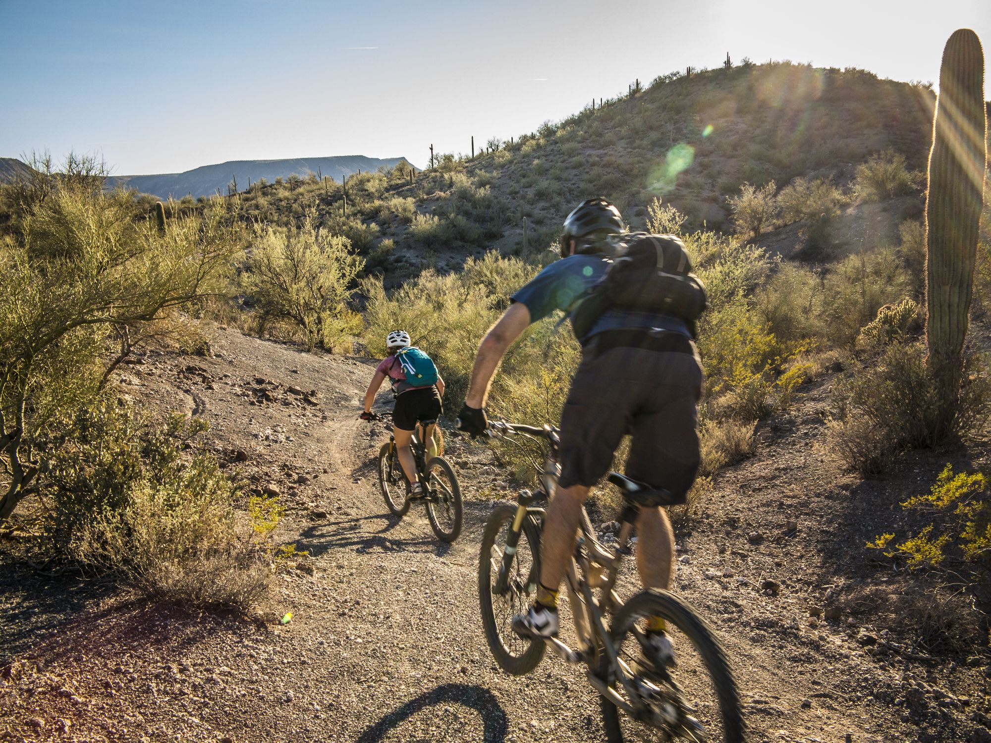 beginner mountain bike trails