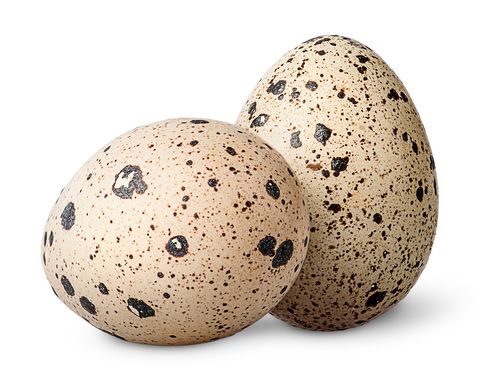 two quail eggs beside