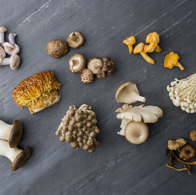 Types of mushroom