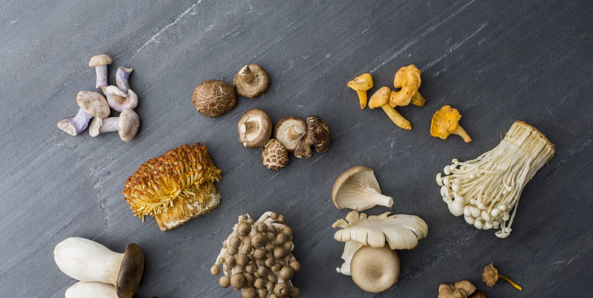 Different Edible Mushrooms