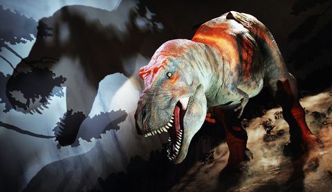 Super-Sensory T-Rex - Photocall