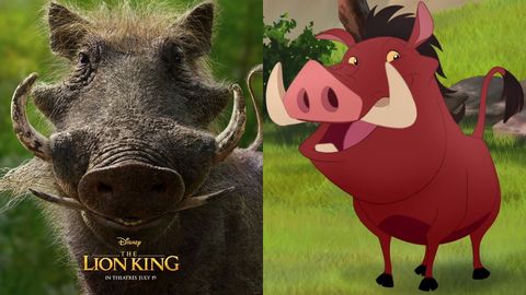 Image result for pumbaa 2019