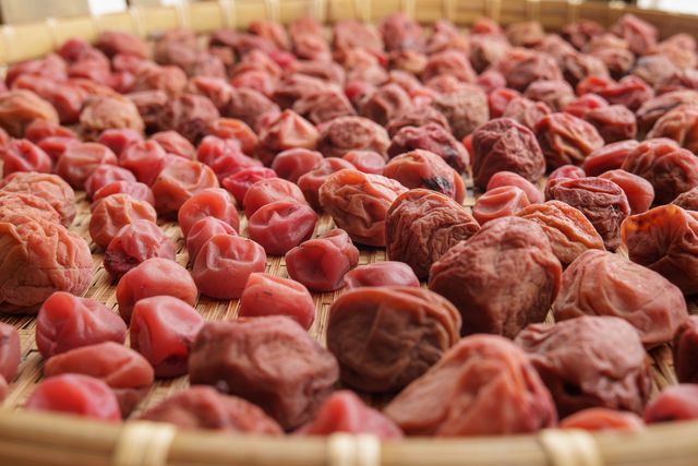close up shot, umeboshi or pickled japanese plums placed on a flat bamboo colander to dry them in daylight