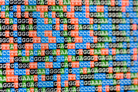 unaligned dna sequences viewed on lcd screen