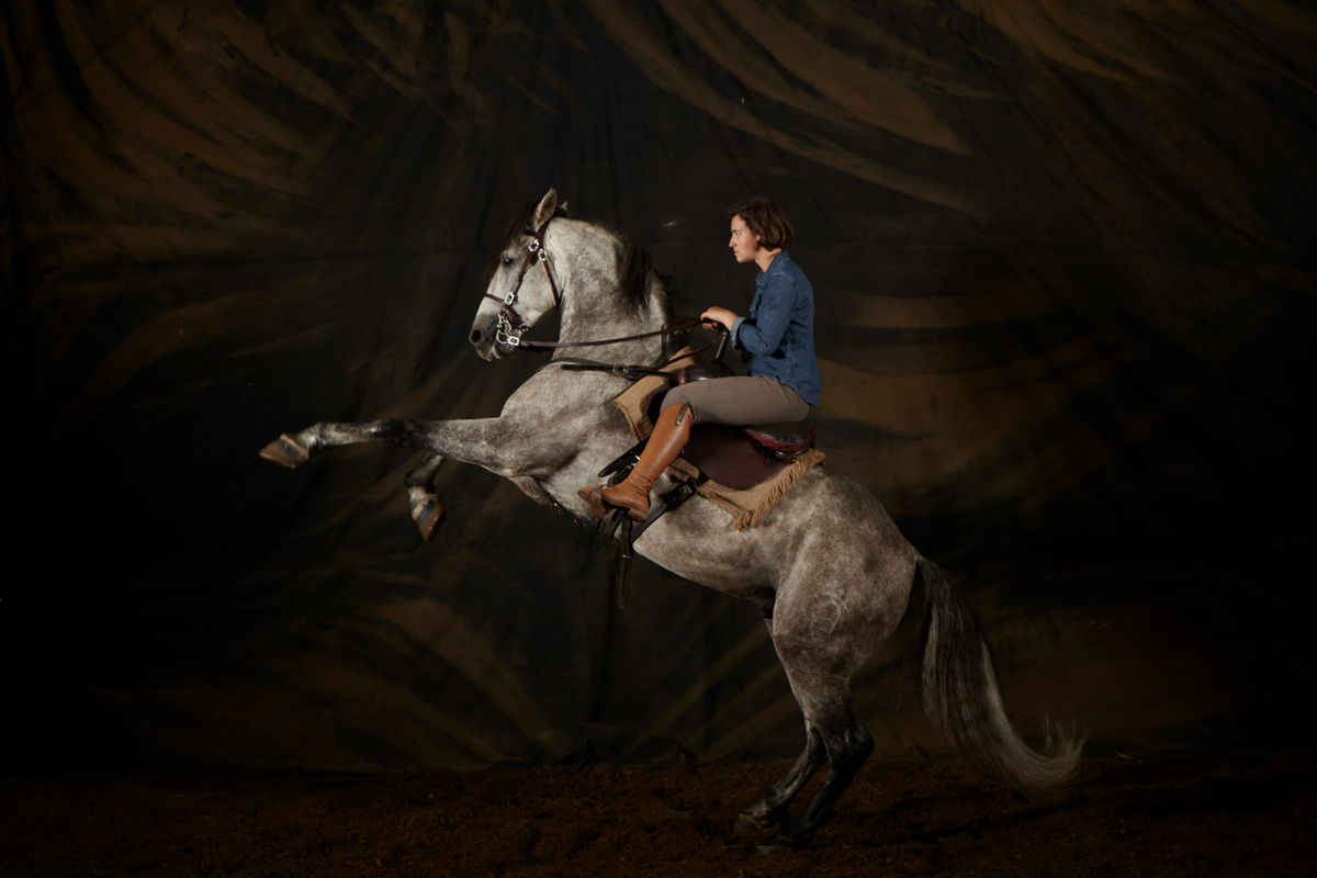 Have you ever ride a horse. Хаз лошади. Reining in Diamonds конь. Equestrian domina.