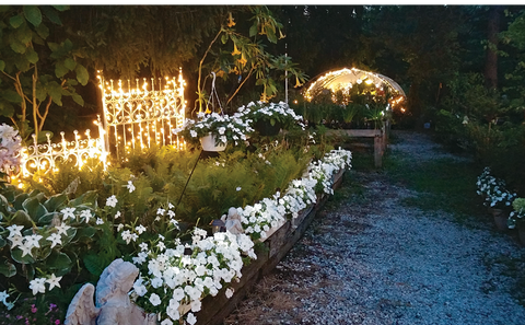 Moon Gardens Are The Dreamy Landscaping Options You May Have Never Heard Of Moon Gardens Are The Dreamy Landscaping Options You May Have Never Heard Of