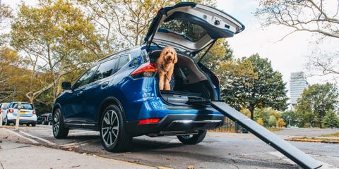 Nissan\'s Rogue Dogue Is Better for Dogs Than It Is for People Nissan\'s Rogue Dogue Is Better for Dogs Than It Is for People