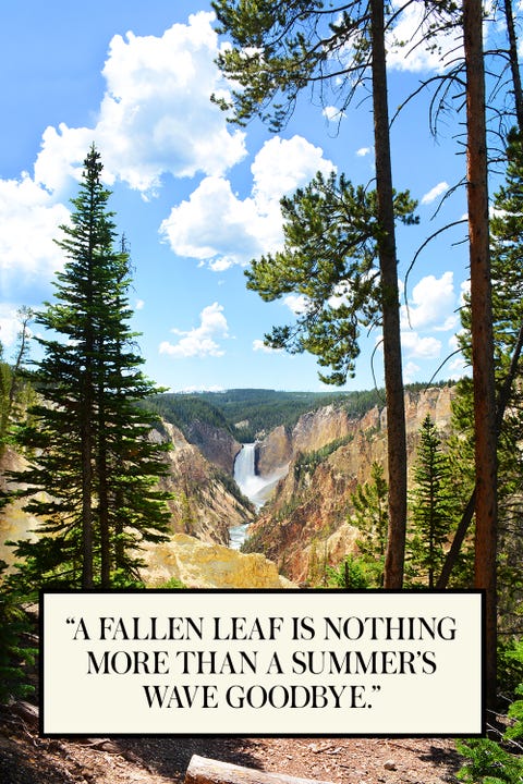 20 Best End of Summer Quotes - Beautiful Quotes About the Last Days of