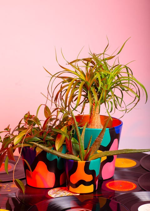 black ceramic pots painted with abstract shapes and bright colors