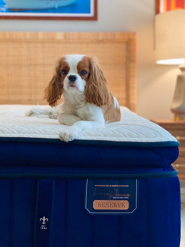stearns  foster hepburn reserve mattress