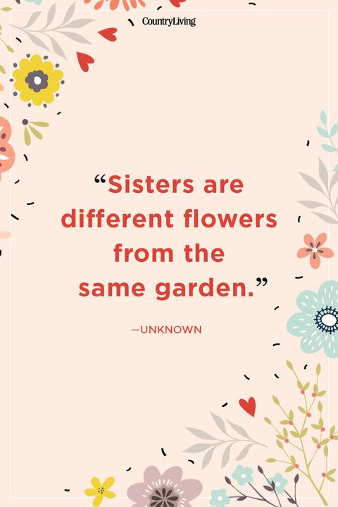 20 Best Sister Quotes Quotes About Sisters