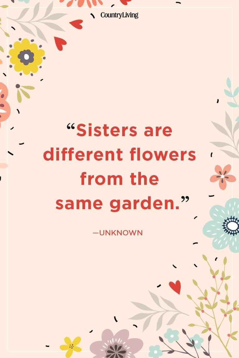 Sister Quotes - Quotes About Sisters