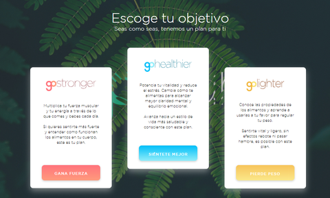 App cocina saludable App cocina saludable