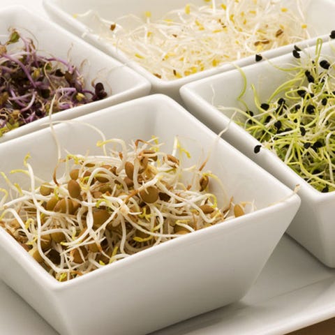 sprouts sprouts