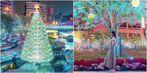 Tree, Christmas tree, Christmas decoration, Organism, Dress, Plant, Adaptation, Architecture, Event, Interior design, 