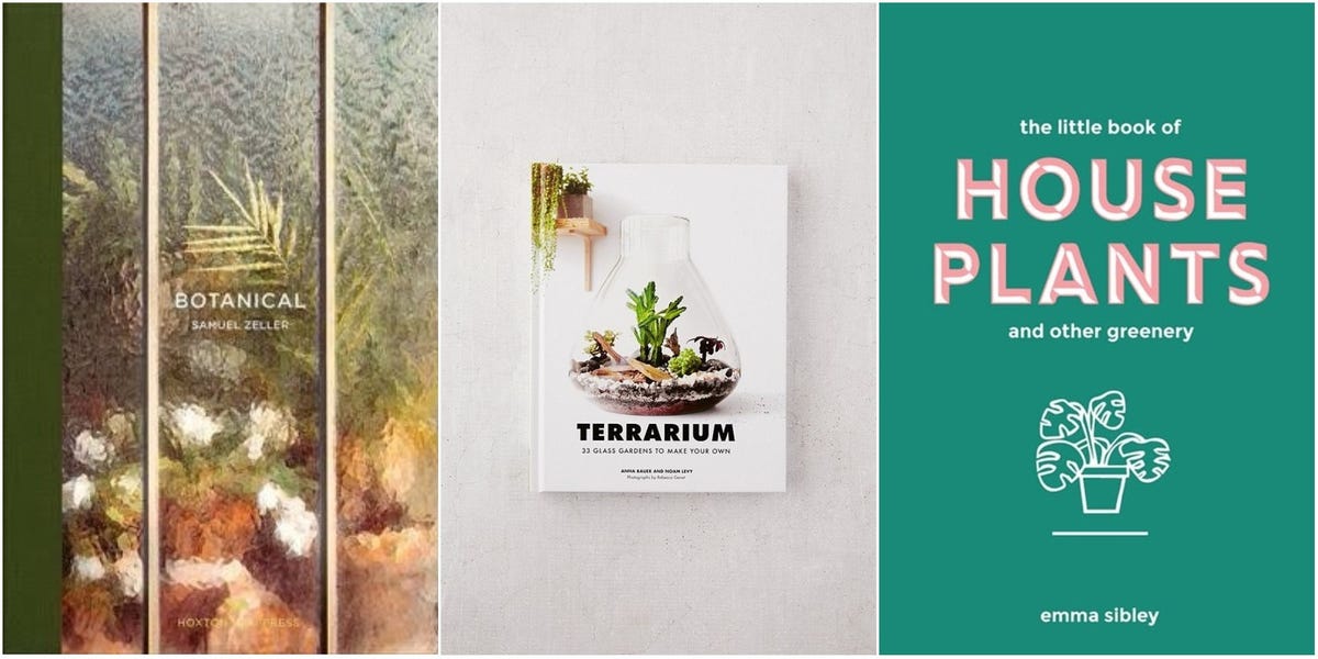 The Best Indoor Plant Books To Gift Your Terrarium