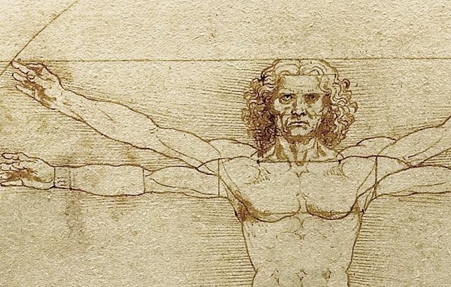 leonardo da vinci italian, 1452 1519, vitruvian man canon of proportions, c 1490, pen and ink with wash over metalpoint on paper, 344 × 255 cm 135 × 10 in, gallerie dell'accademia in venice photo by vcg wilsoncorbis via getty images