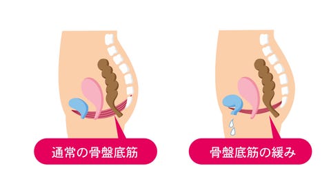 骨盤底筋について知っておくべきすべてのこと
