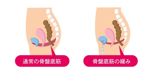 骨盤底筋について知っておくべきすべてのこと 骨盤底筋について知っておくべきすべてのこと