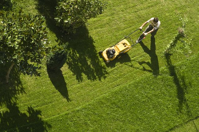 using lawn mower