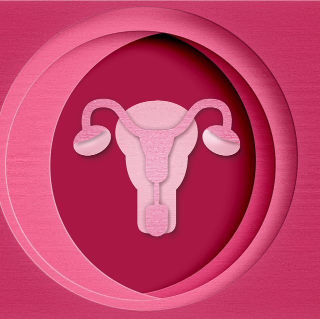 uterus un paper workpink background