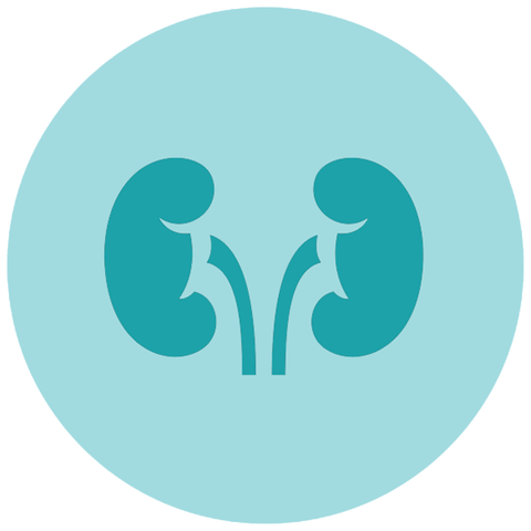 9 UTI Causes in Women – How to Prevent Urinary Tract Infection 9 UTI Causes in Women – How to Prevent Urinary Tract Infection