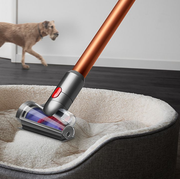 dyson vacuum pet bed