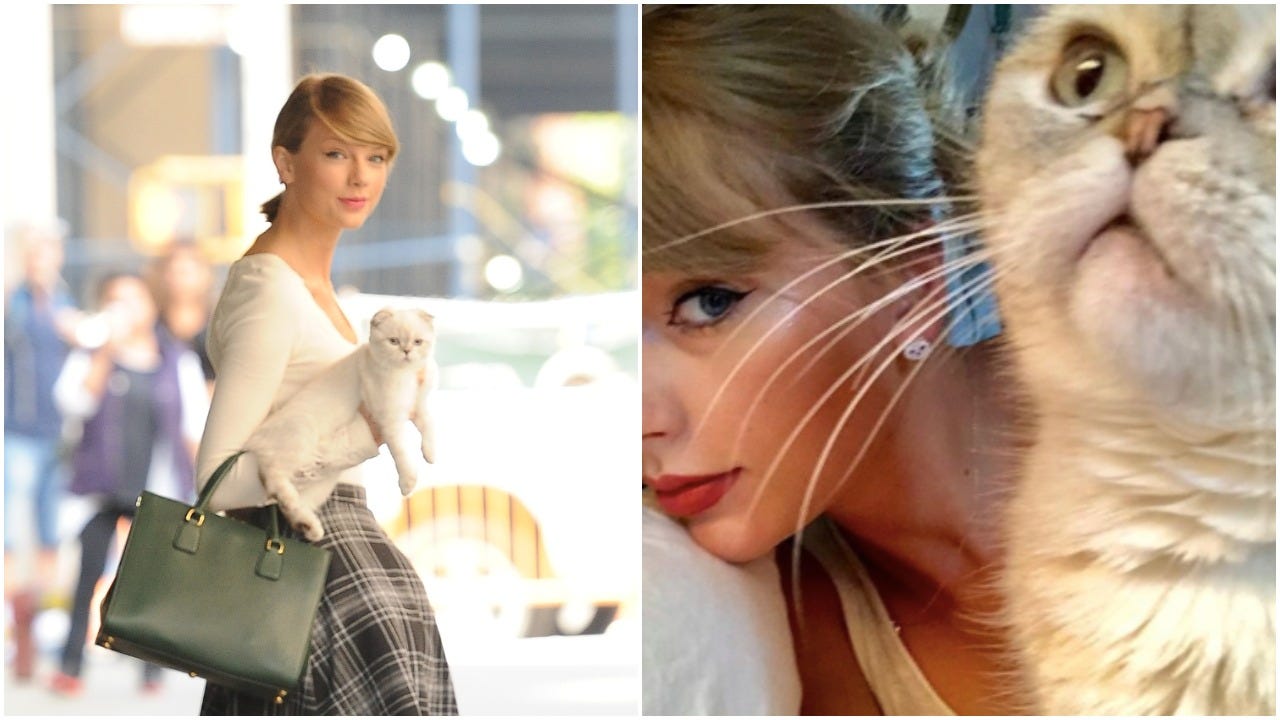 Hold Me, I Just Found Out Taylor Swift's Cat Is Worth $97 Million