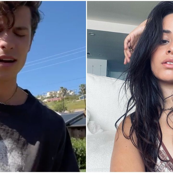 Shawn Mendes' New Song Lyrics Makes It Pretty Clear He Regrets Breaking Up with Camila