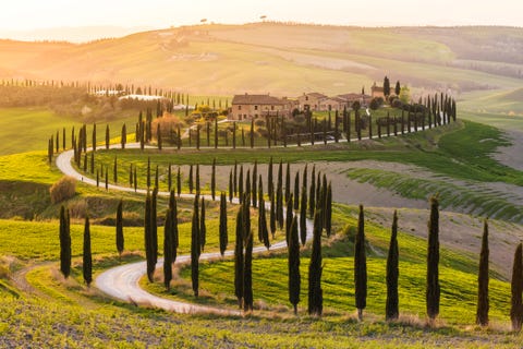 valdorcia, siena, tuscany road of cypresses in a farmhouse at sunset