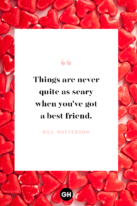 25 Valentine's Day Quotes for Friends - Funny Best Friend ...