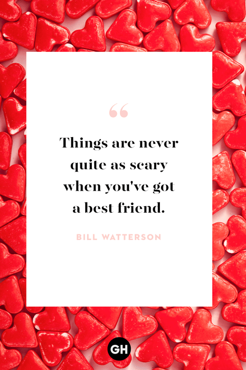 25 Valentine S Day Quotes For Friends Funny Best Friend