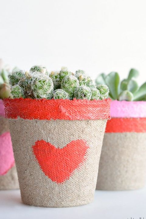 Valentines Day Decorations Succulents