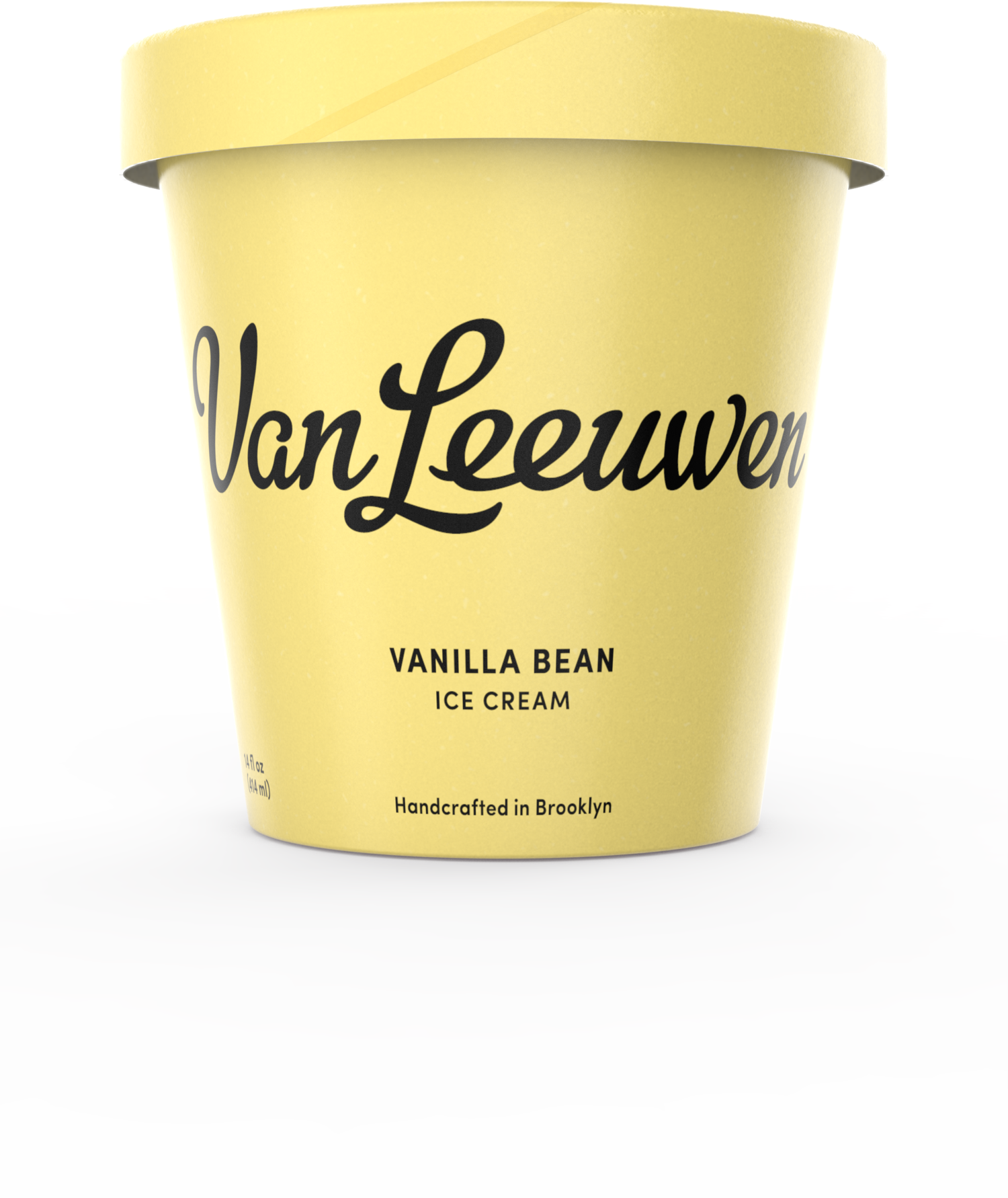 best store bought vanilla bean ice cream
