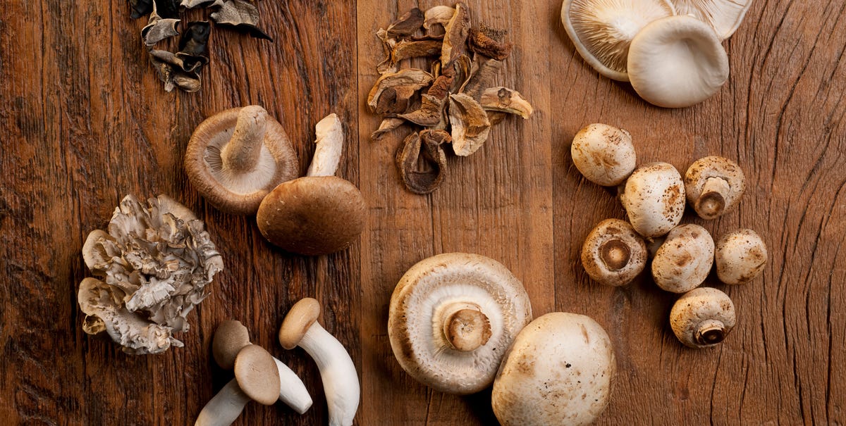 mushrooms that are good for you mushrooms that are good for you