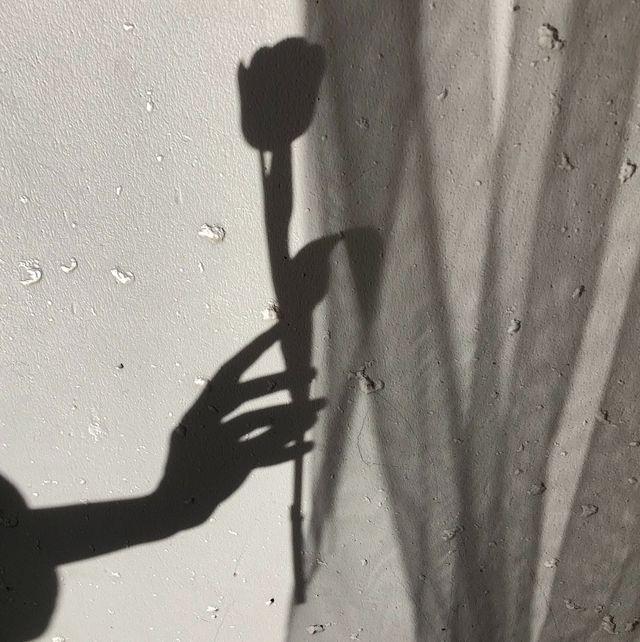 ombra di un fiore e di una mano