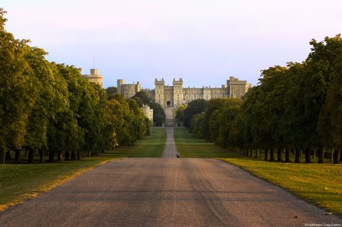 windsor castle is a historic royal palace and military fort, which is still one of the  main homes of the british monarch the long walk is a ceremonial road lined with trees overlooked by the castle on a rise above windsor great park