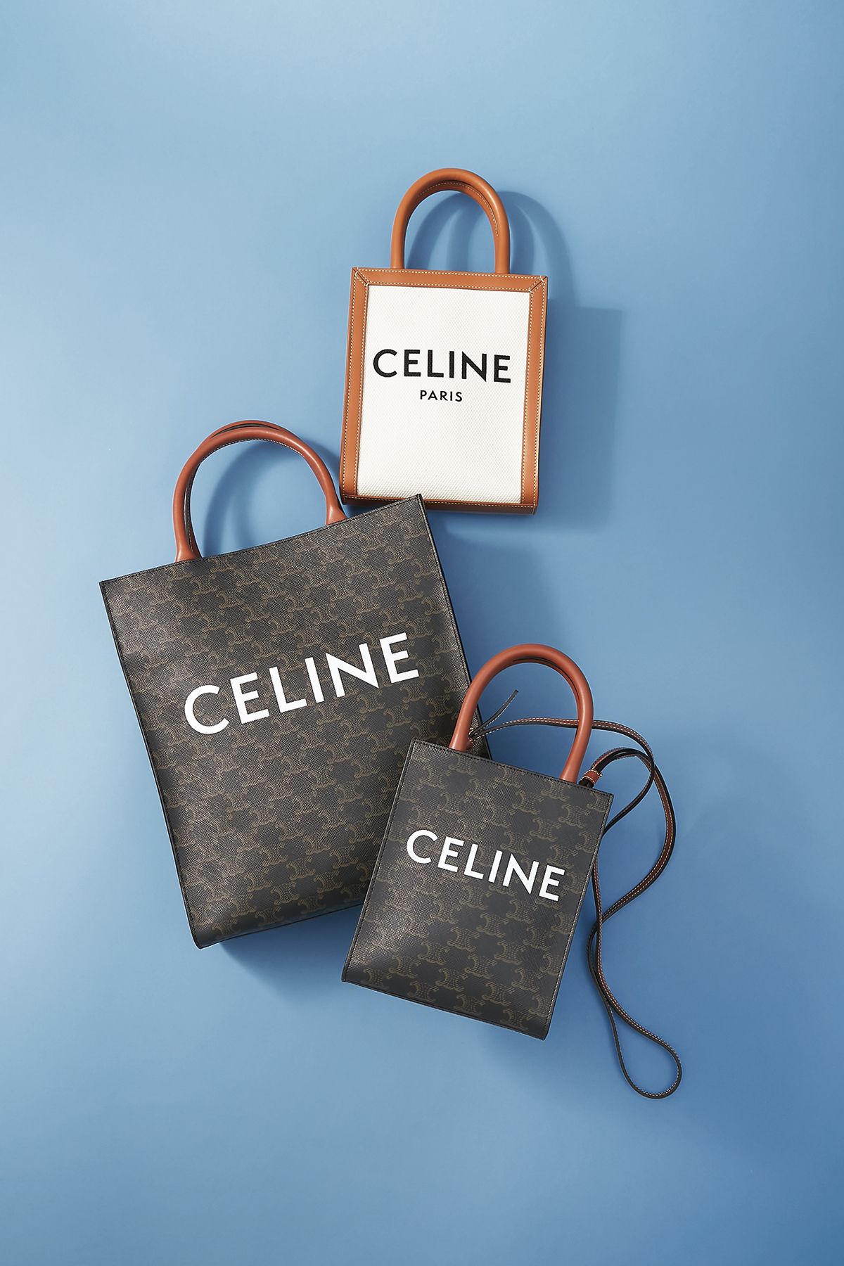 低価超歓迎】 ミニ バーティカル トリオンフ キャンバス CELINE カバ