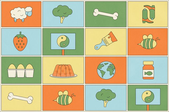 an illustration by evan richards featuring a grid of food, plant, animal, and other objects associated with the various forms of plant based diets