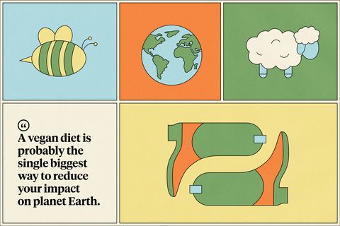 a vegan diet is probably the single biggest way to reduce your impact on planet earth