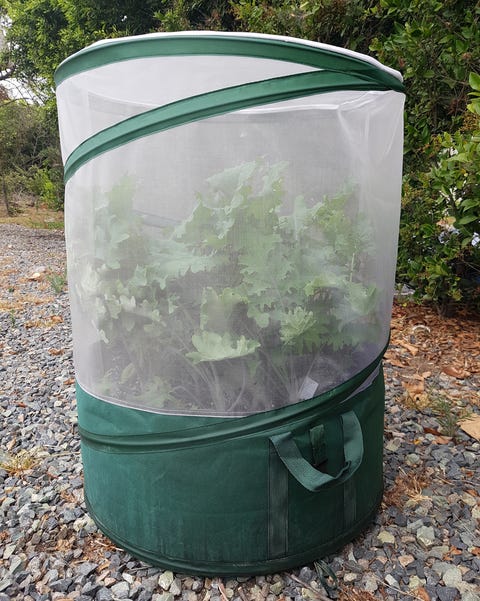 Vegebag - Chelsea Garden Product of the Year 2020 vegebag chelsea garden product of the year 2020
