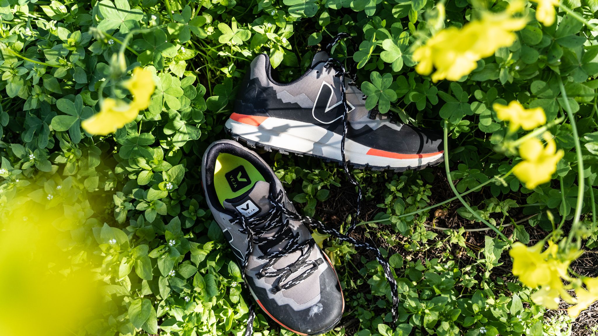 Veja Fitz Roy Hiking Shoe Review: Is It a Hit, or a Miss?