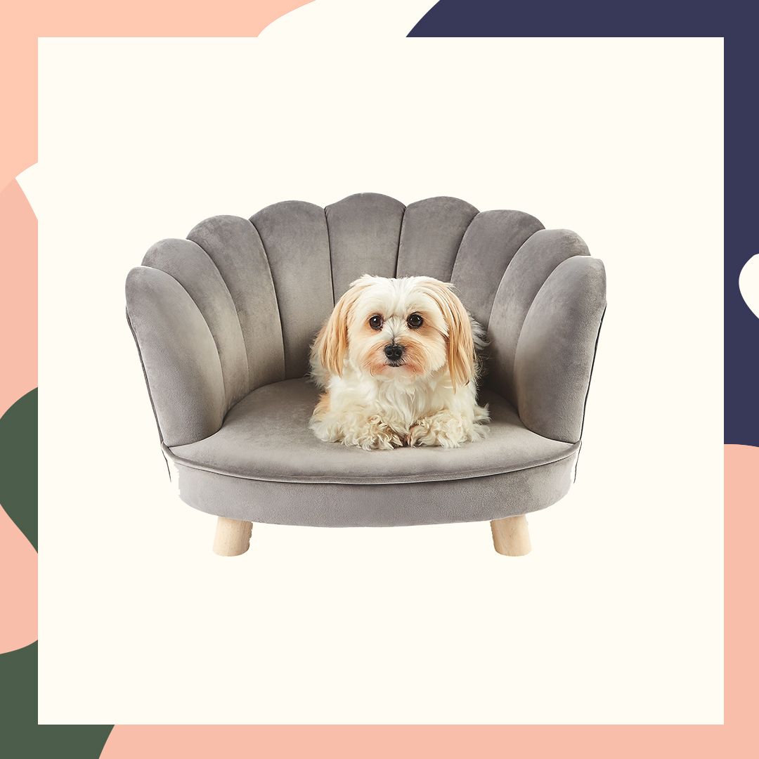 dog beds at aldi
