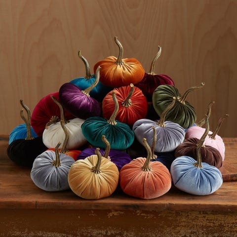 Winter squash, Pumpkin, Calabaza, Still life, Vegetable, Still life photography, Cucurbita, Gourd, Painting, Orange, 