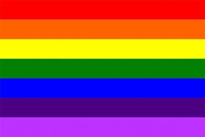 what does each color in the gay flag mean