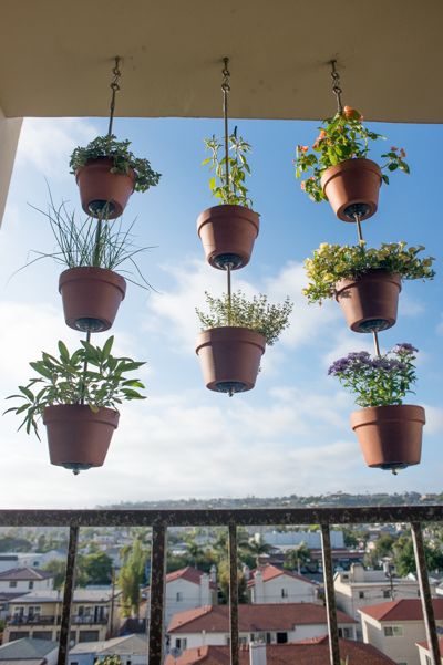 21 Vertical Gardens That Ll Give Life To Your Small Space - Hanging Vertical Garden