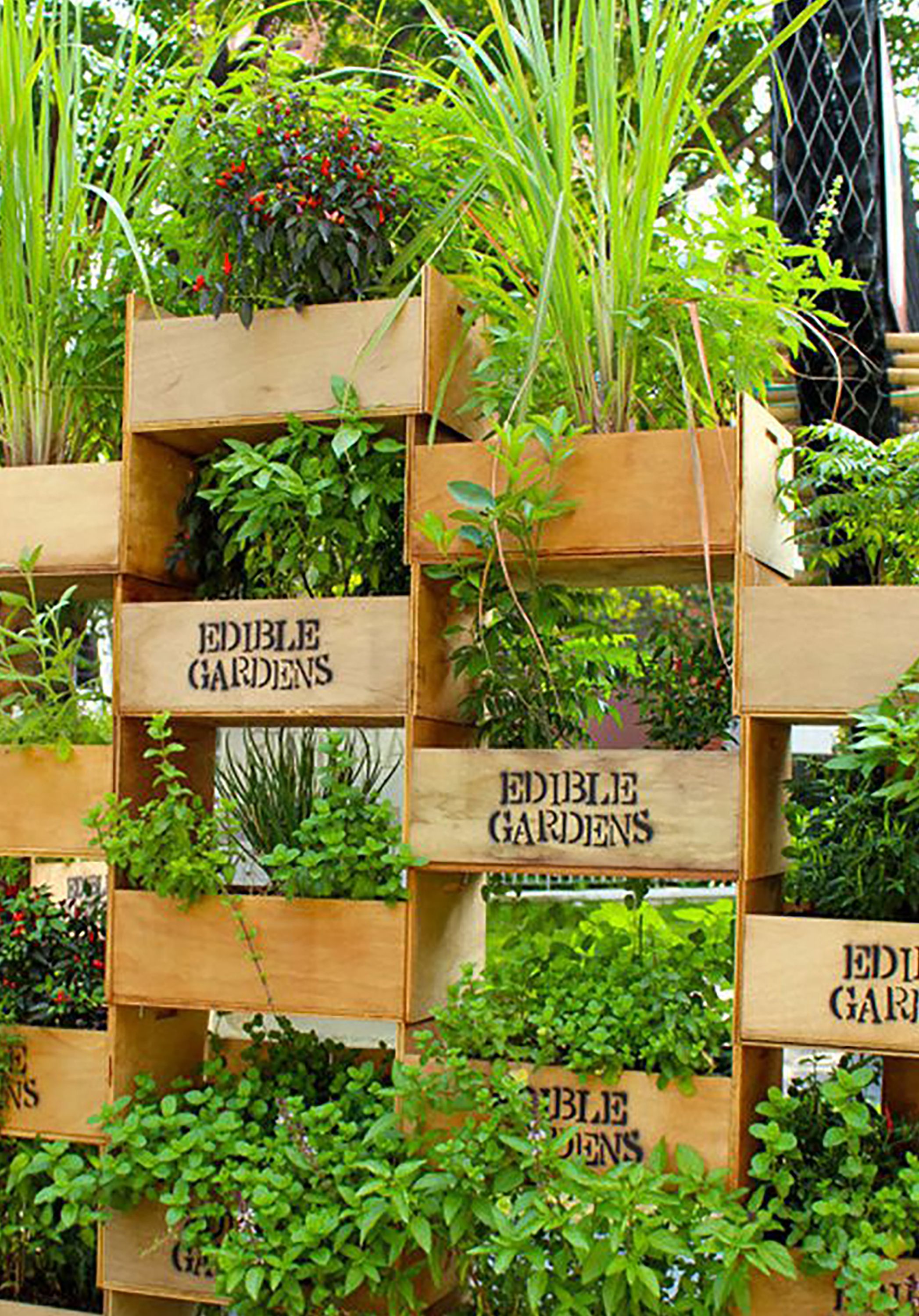 35 Creative Ways to Plant a Vertical Garden - How to Make a Vertical Garden