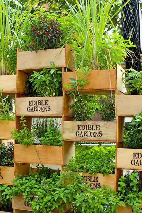 35 Creative Ways To Plant A Vertical Garden How To Make A