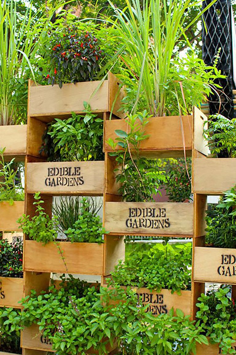 26 Creative Ways to Plant a Vertical Garden - How To Make 